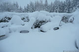 P1020056 Sun loungers with snow on